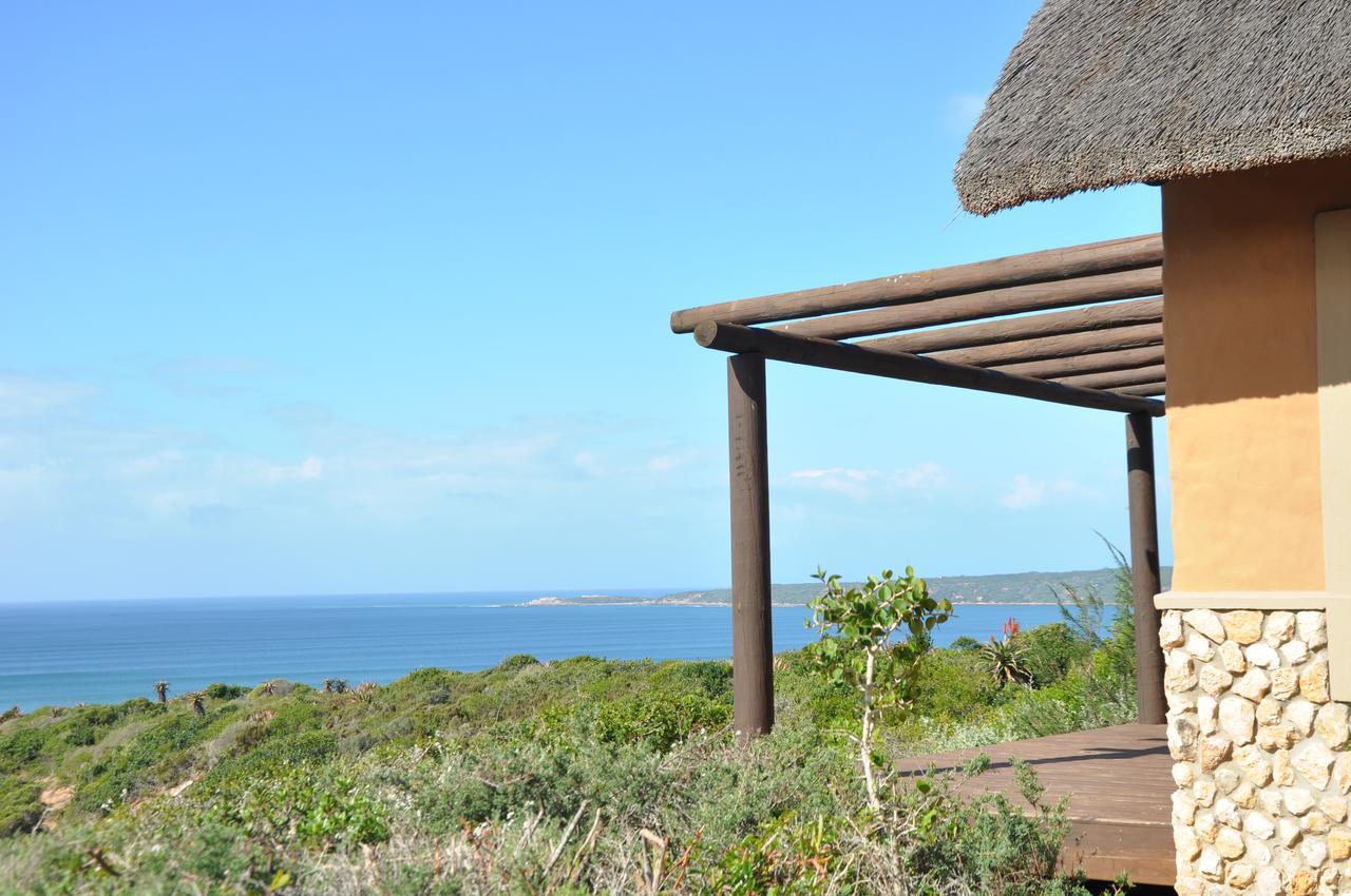 Ocean View Cottage, Springerbaai Boggomsbaai Eksteriør bilde