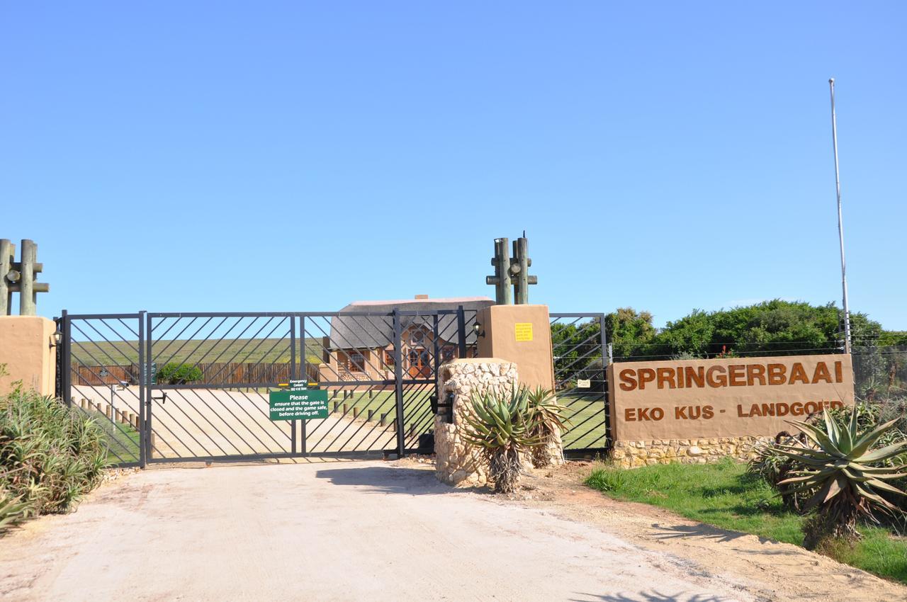 Ocean View Cottage, Springerbaai Boggomsbaai Eksteriør bilde